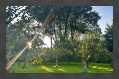 Orchard at Fairfield Nature Reserve in Lancaster