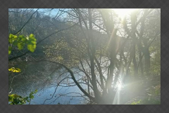 Sunlight reflecting on the River Lune through the trees in Halton