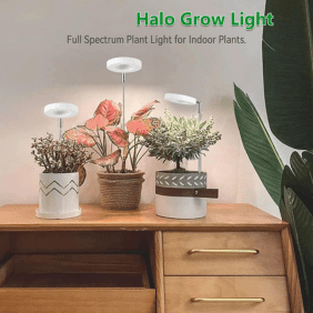 A set of full-spectrum halo grow lights placed above potted plants, promoting healthy indoor plant growth.